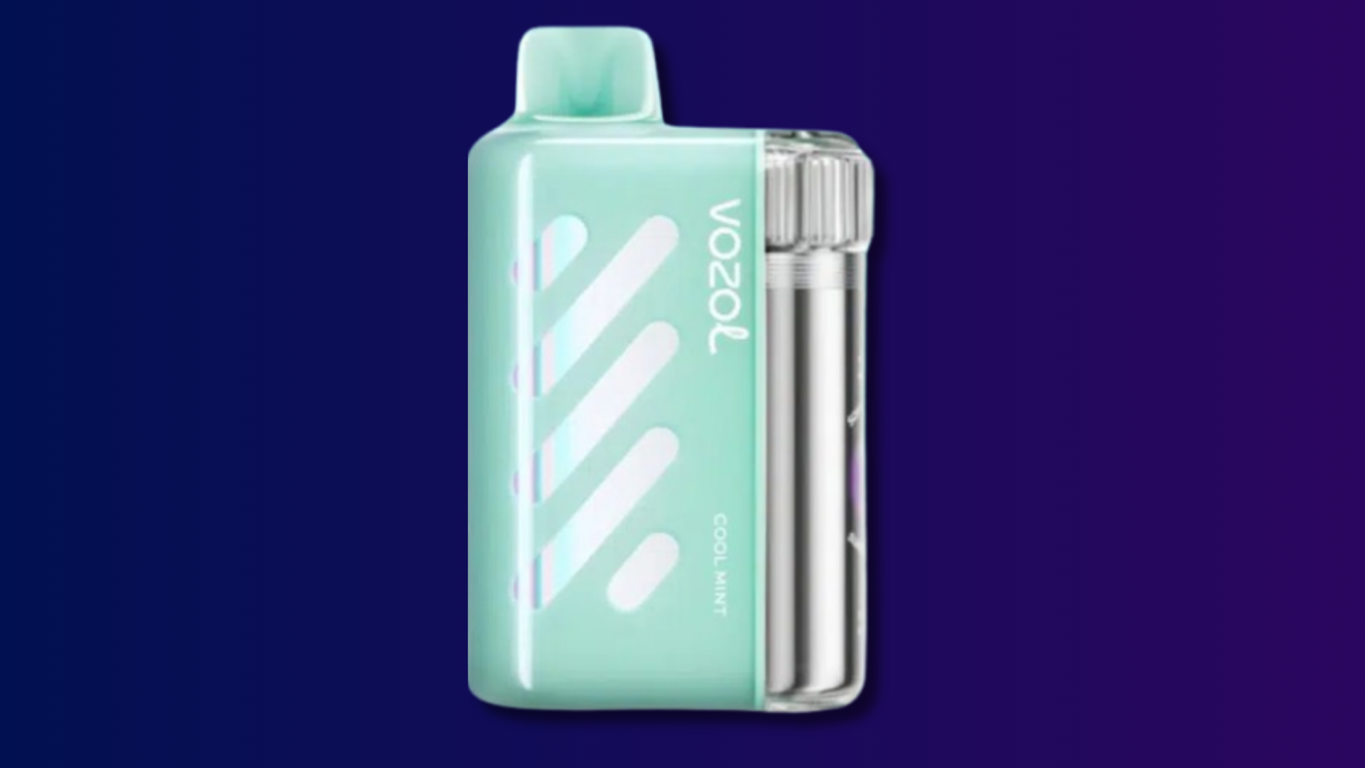 VOZOL VISTA 40K Puffs – MIAMI MINT